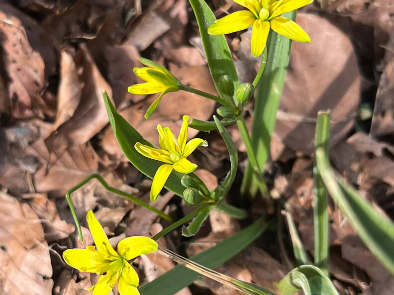 25-03-21 13-30-51 2493